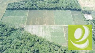 Citymax-Advance Vende Terreno/Finca de 170,000v² Plano a dos minutos de Carretera a El Salvador** — Terreno en Venta en Villa Canales, Guatemala, Ciudad — miniatura 1 de 4