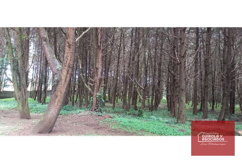 Terreno en Venta en el KM 21 Carretera el Salvador 008TVCD — Terreno en Venta en Premier Campestre, Carretera a El Salvador, Guatemala, Ciudad — foto 8 de 10