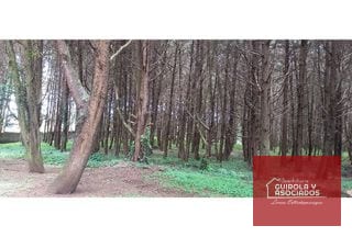 Terreno en Venta en el KM 21 Carretera el Salvador 008TVCD — Terreno en Venta en Premier Campestre, Carretera a El Salvador, Guatemala, Ciudad — miniatura 8 de 10