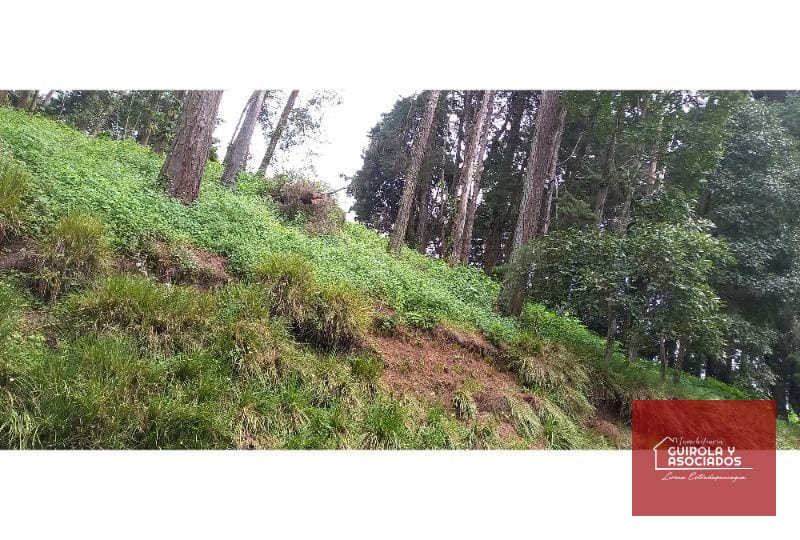 Terreno en Venta en el KM 21 Carretera el Salvador 008TVCD — Terreno en Venta en Premier Campestre, Carretera a El Salvador, Guatemala, Ciudad — foto 2 de 10