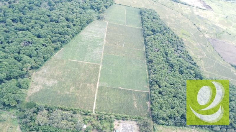 Citymax-Advance Vende Terreno/Finca de 170,000v² Plano a dos minutos de Carretera a El Salvador** — Terreno en Venta en Villa Canales, Guatemala, Ciudad — foto 3 de 4