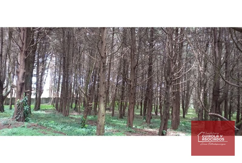 Terreno en Venta en el KM 21 Carretera el Salvador 008TVCD — Terreno en Venta en Premier Campestre, Carretera a El Salvador, Guatemala, Ciudad — foto 7 de 10