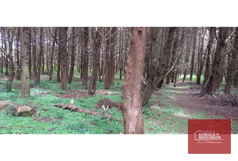 Terreno en Venta en el KM 21 Carretera el Salvador 008TVCD — Terreno en Venta en Premier Campestre, Carretera a El Salvador, Guatemala, Ciudad — foto 1 de 10
