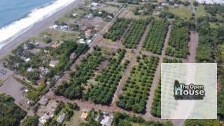 Playa Negra Monterrico Guatemala — Terreno en Alquiler en Monterrico, Santa Rosa — miniatura 5 de 10