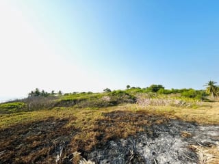 Terreno en venta para desarrollo en Iztapa a orilla del mar — Terreno en Venta en Iztapa, Escuintla — miniatura 16 de 17