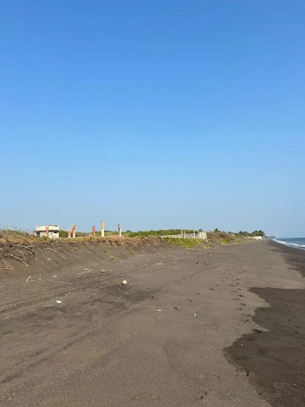Terreno en venta para desarrollo en Iztapa a orilla del mar — Terreno en Venta en Iztapa, Escuintla — foto 13 de 17