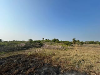 Terreno en venta para desarrollo en Iztapa a orilla del mar — Terreno en Venta en Iztapa, Escuintla — miniatura 11 de 17
