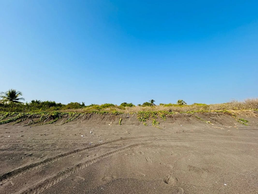 Terreno en venta para desarrollo en Iztapa a orilla del mar — Terreno en Venta en Iztapa, Escuintla — foto 8 de 17