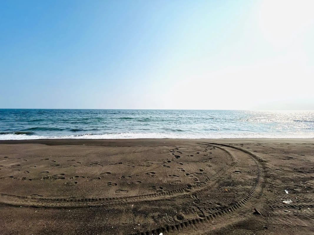 Terreno en venta para desarrollo en Iztapa a orilla del mar — Terreno en Venta en Iztapa, Escuintla — foto 7 de 17