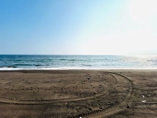 Terreno en venta para desarrollo en Iztapa a orilla del mar — Terreno en Venta en Iztapa, Escuintla — miniatura 7 de 17