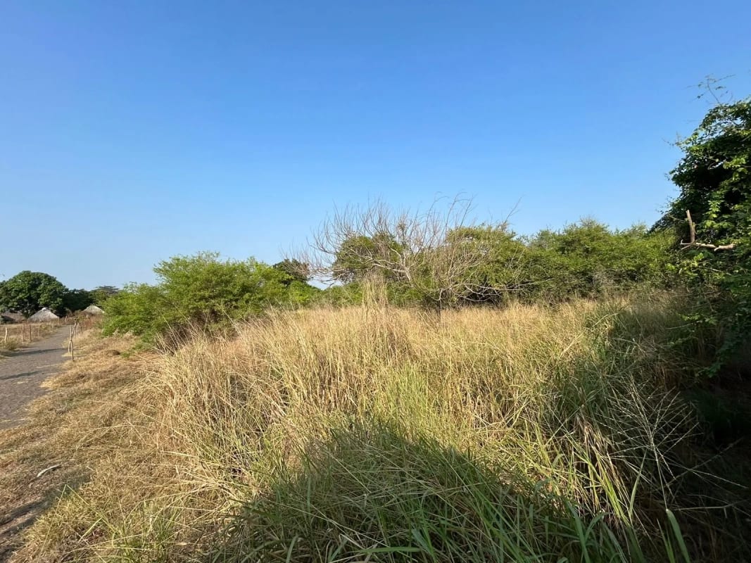 Terreno en venta para desarrollo en Iztapa a orilla del mar — Terreno en Venta en Iztapa, Escuintla — foto 6 de 17