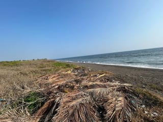 Terreno en venta para desarrollo en Iztapa a orilla del mar — Terreno en Venta en Iztapa, Escuintla — miniatura 5 de 17