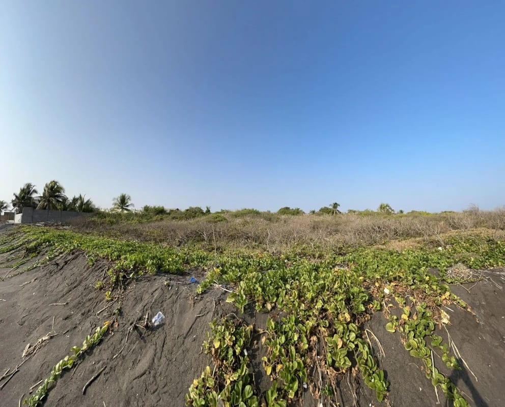 Terreno en venta para desarrollo en Iztapa a orilla del mar — Terreno en Venta en Iztapa, Escuintla — foto 2 de 17