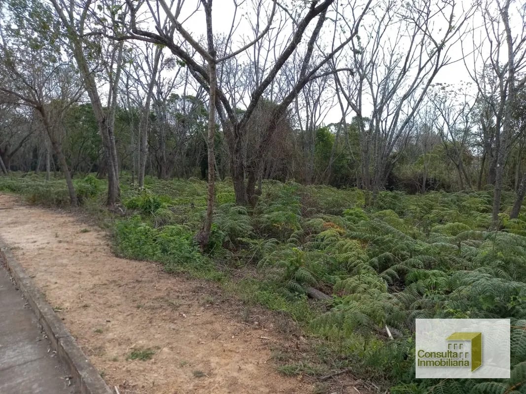 Casa y Campo/ terreno en venta/ 11577.79 vr2 — Terreno en Venta en Carretera a El Salvador, Guatemala, Ciudad — foto 5 de 8