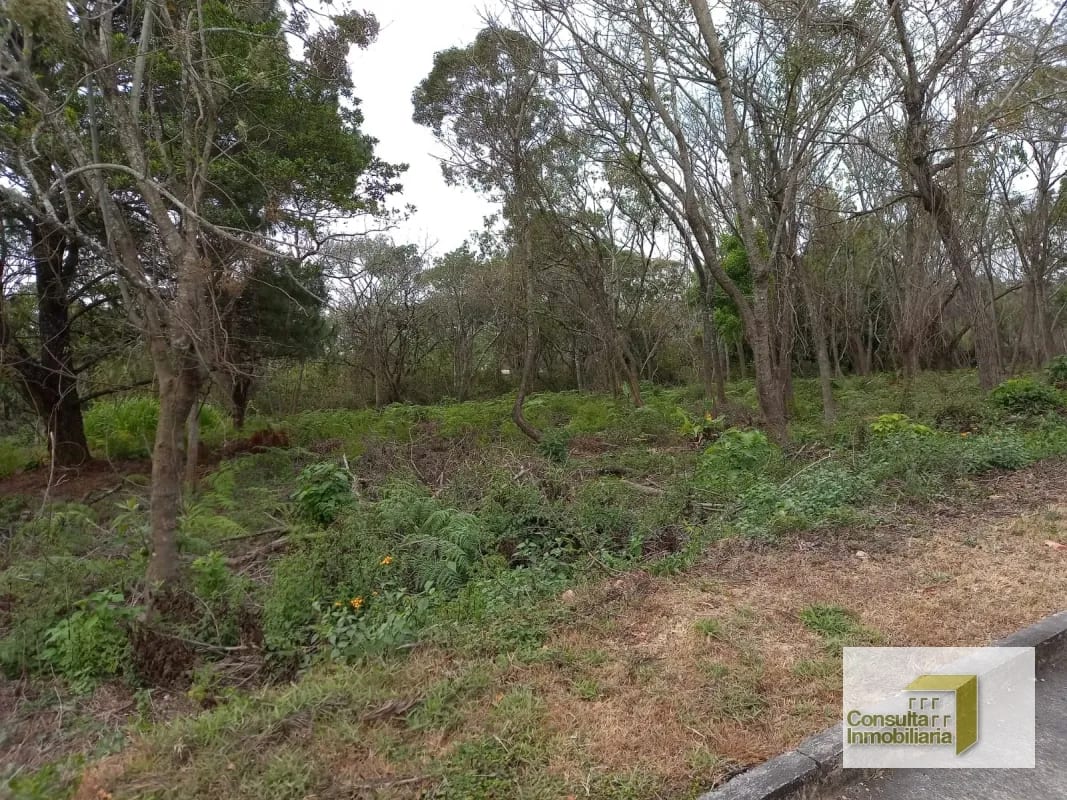 Casa y Campo/ terreno en venta/ 11577.79 vr2 — Terreno en Venta en Carretera a El Salvador, Guatemala, Ciudad — foto 3 de 8