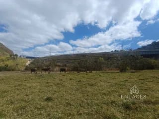 Terreno en venta •La Vas Km 5.5 Junto garita peaje — Terreno en Venta en Zona 12, Guatemala, Ciudad — miniatura 12 de 17