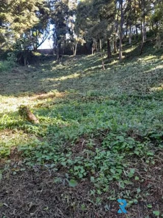 Vendo Terreno Sta Catarina Pinula, La Hondonada (Fca Sn Vicente) — Terreno en Venta en Heroes de Arrazola, Carretera a El Salvador, Guatemala, Ciudad — miniatura 1 de 3