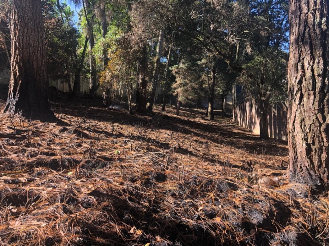 Terreno 3,700 v2 en venta zona 16 sector Kanajuyú — Terreno en Venta en Zona 16, Guatemala, Ciudad — foto 7 de 9