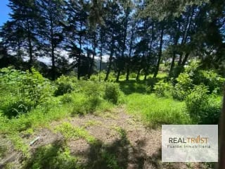 TERRENO EN VENTA ENTRADA A FRAIJANES — Terreno en Venta en Fraijanes, Carretera a El Salvador, Guatemala, Ciudad — miniatura 7 de 9