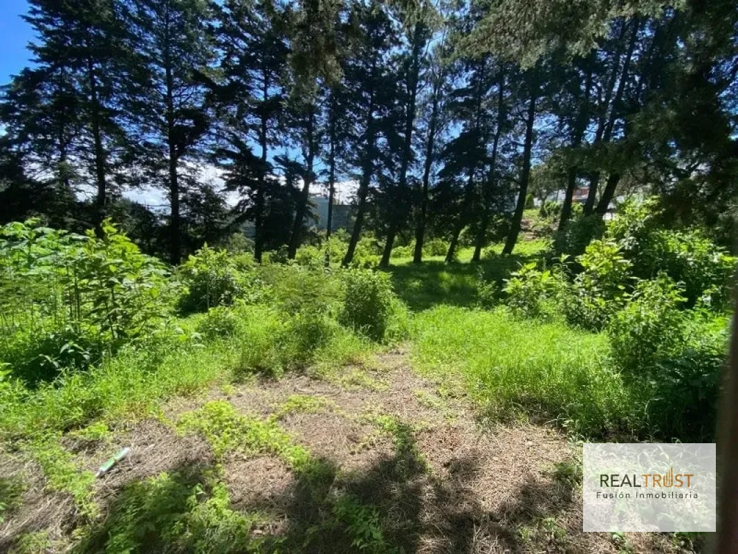 Terreno en Venta Entrada a Fraijanes — Terreno en Venta en Fraijanes, Carretera a El Salvador, Guatemala, Ciudad — foto 7 de 9