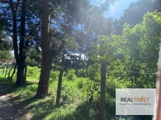 TERRENO EN VENTA ENTRADA A FRAIJANES — Terreno en Venta en Fraijanes, Carretera a El Salvador, Guatemala, Ciudad — miniatura 2 de 9