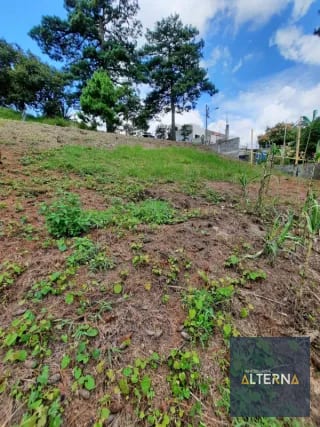 Terreno en Venta en Zona 16 en Condominio Peña Dorada — Terreno en Venta en Zona 16, Guatemala, Ciudad — miniatura 2 de 5