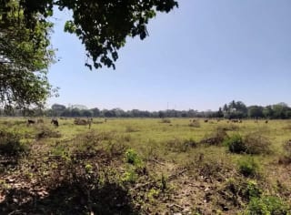 Terreno en Masagua, Escuintla — Terreno en Venta en Masagua, Escuintla — miniatura 3 de 3