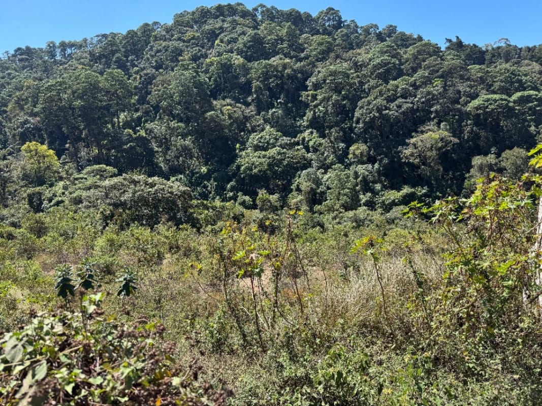 Terreno 9,041.50 v2 en venta Vista Hermosa IV zona 16 sector El Pulté — Terreno en Venta en Zona 16, Guatemala, Ciudad — foto 3 de 4