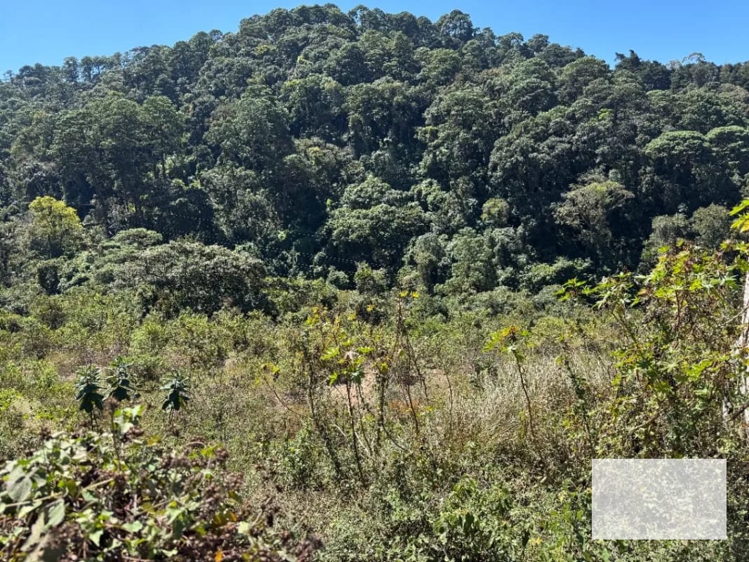 Terreno 9,041.50 v2 en venta Vista Hermosa IV zona 16 sector El Pulté — Terreno en Venta en Zona 16, Guatemala, Ciudad — foto 3 de 4