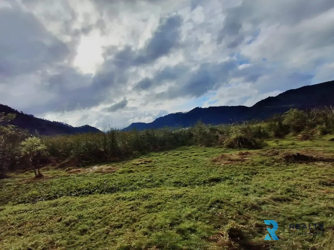 Vendo Finca Purulha, BVP  Carretera hacia Cobán  Sobre Carretera Principal — Finca en Venta en Purulhá, Baja Verapaz — foto 3 de 4
