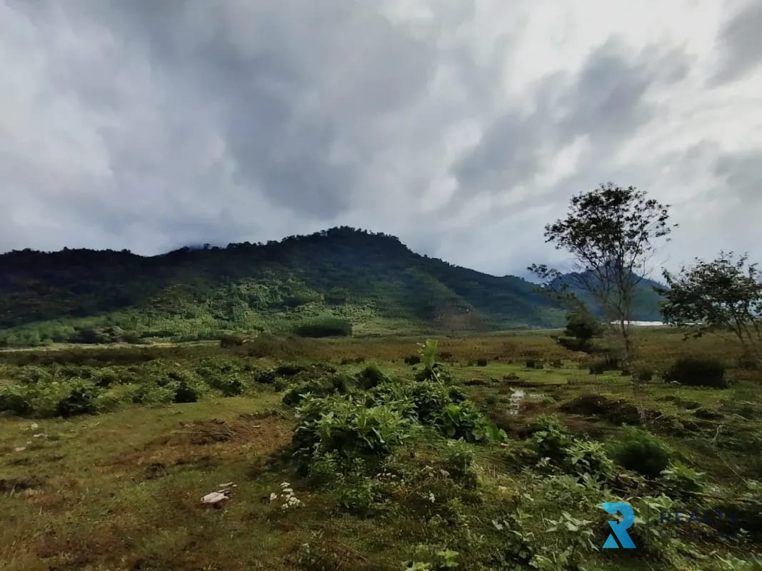 Vendo Finca Purulha, BVP  Carretera hacia Cobán  Sobre Carretera Principal — Finca en Venta en Purulhá, Baja Verapaz — foto 1 de 4
