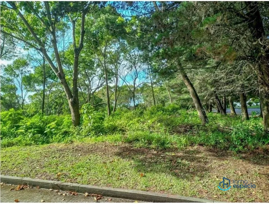 Terreno en Venta en Casa y Campo — Terreno en Venta en Casa & Campo, Carretera a El Salvador, Guatemala, Ciudad — foto 3 de 6