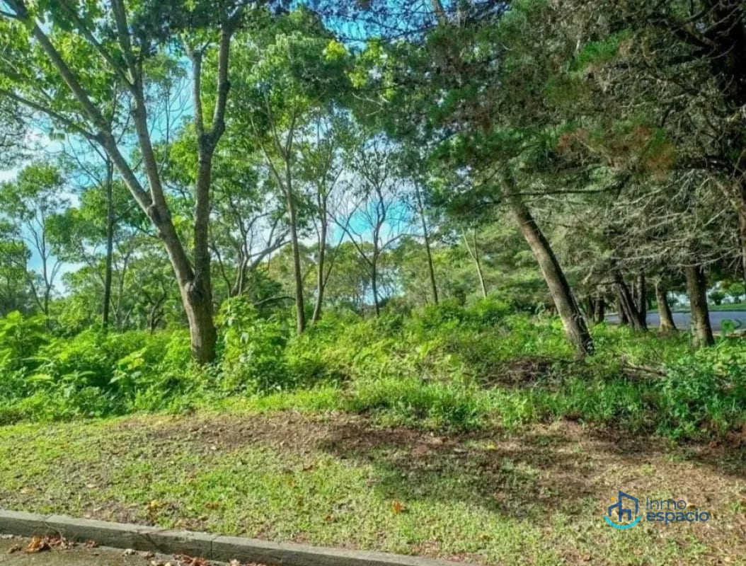 Terreno en Venta en Casa y Campo — Terreno en Venta en Casa & Campo, Carretera a El Salvador, Guatemala, Ciudad — foto 2 de 6