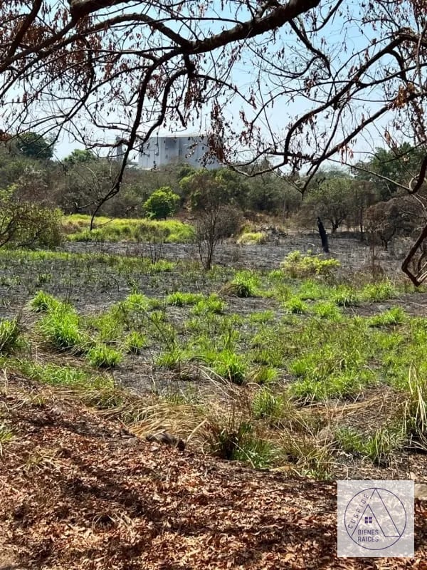 Autopista Puerto Quetzal km 80  11 manzanas en venta. — Terreno en Venta en Masagua, Escuintla — foto 7 de 7
