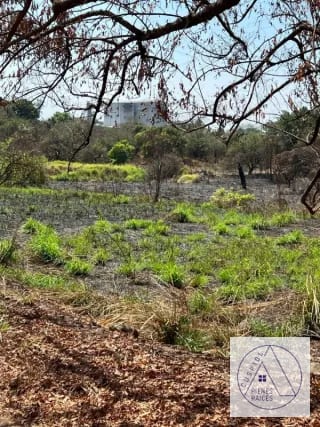 Autopista Puerto Quetzal km 80  11 manzanas en venta. — Terreno en Venta en Masagua, Escuintla — miniatura 7 de 7