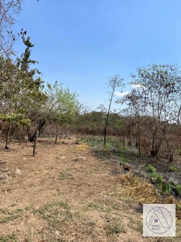 Autopista Puerto Quetzal km 80  11 manzanas en venta. — Terreno en Venta en Masagua, Escuintla — foto 6 de 7