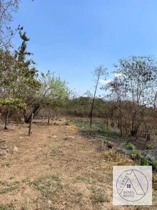 Autopista Puerto Quetzal km 80  11 manzanas en venta. — Terreno en Venta en Masagua, Escuintla — miniatura 6 de 7
