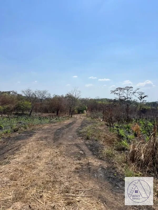 Autopista Puerto Quetzal km 80  11 manzanas en venta. — Terreno en Venta en Masagua, Escuintla — foto 5 de 7