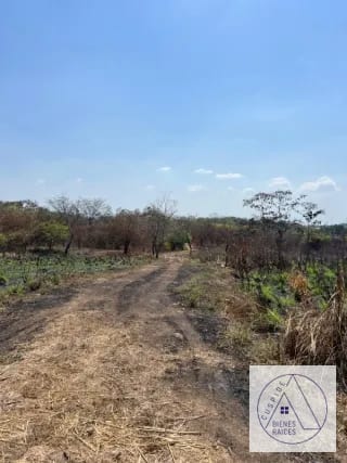 Autopista Puerto Quetzal km 80  11 manzanas en venta. — Terreno en Venta en Masagua, Escuintla — miniatura 5 de 7