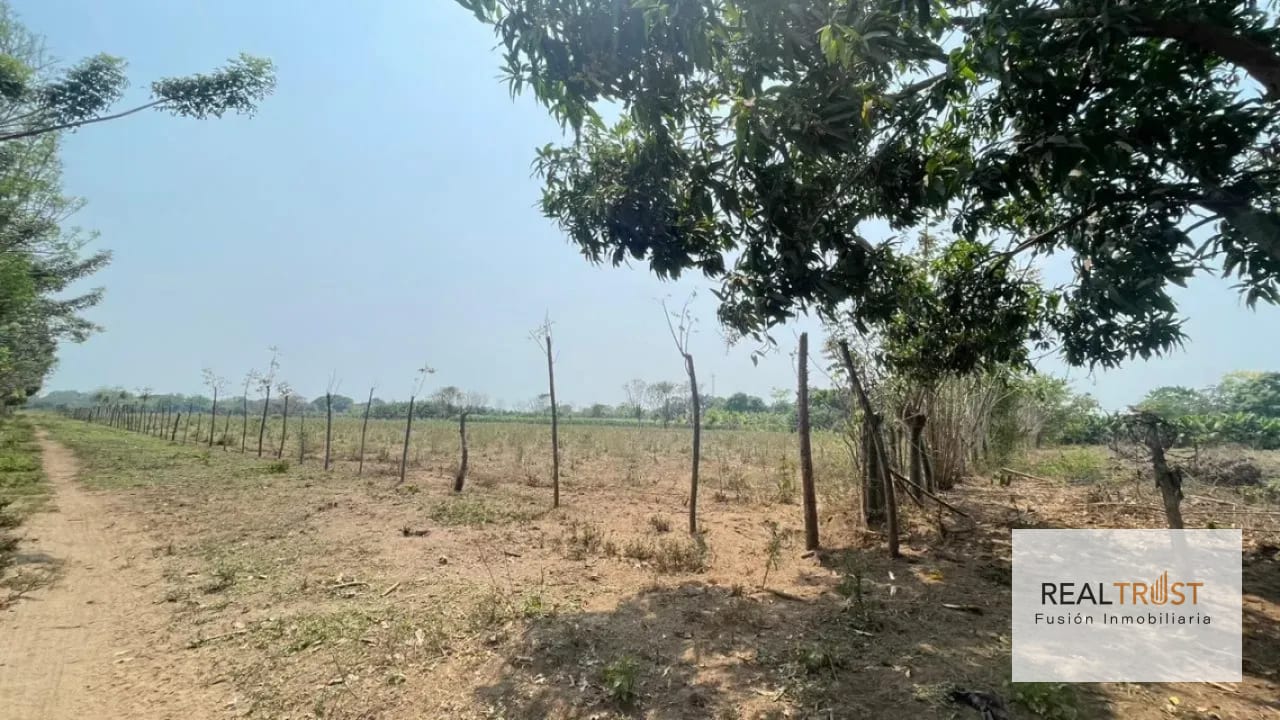 VENTA DE TERRENO EN CUYUTA MASAGUA ESCUINTLA — Terreno en Venta en Masagua, Escuintla — foto 5 de 7