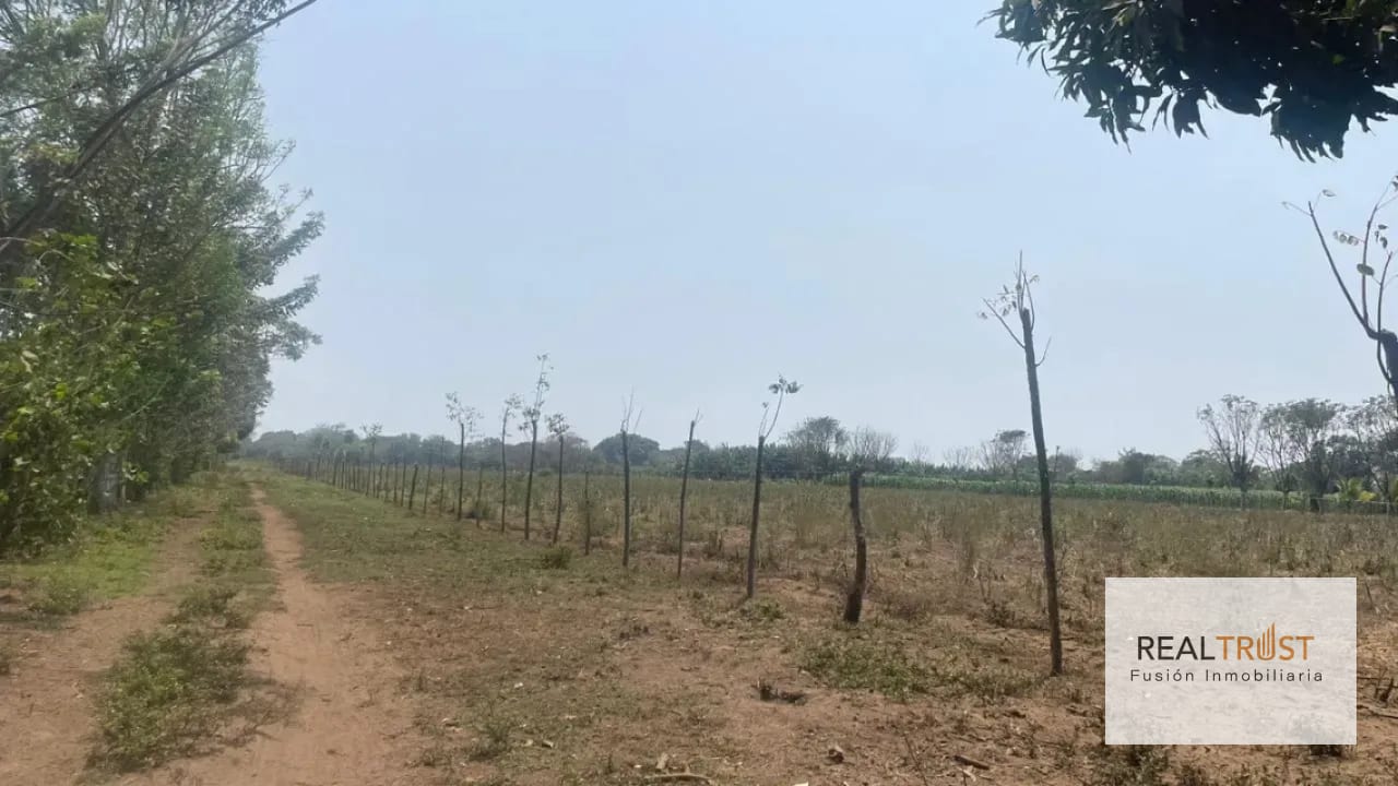 VENTA DE TERRENO EN CUYUTA MASAGUA ESCUINTLA — Terreno en Venta en Masagua, Escuintla — foto 4 de 7