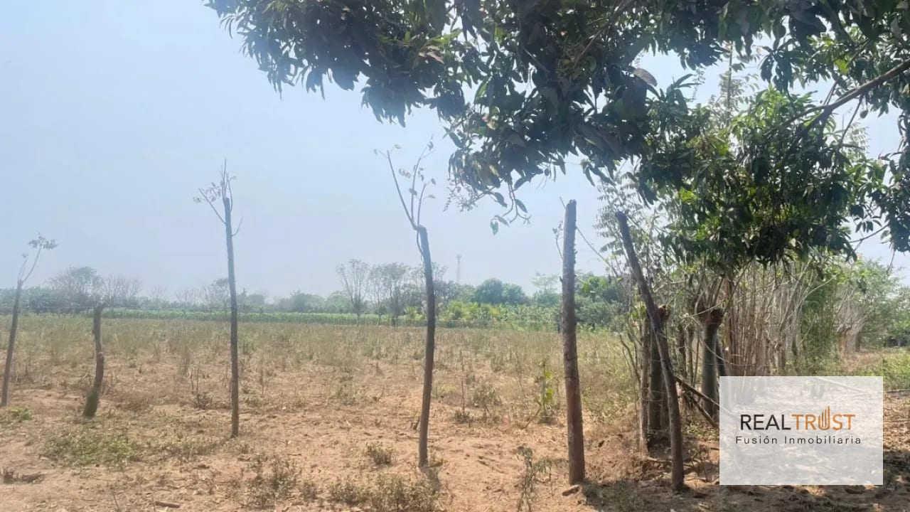 VENTA DE TERRENO EN CUYUTA MASAGUA ESCUINTLA — Terreno en Venta en Masagua, Escuintla — foto 3 de 7