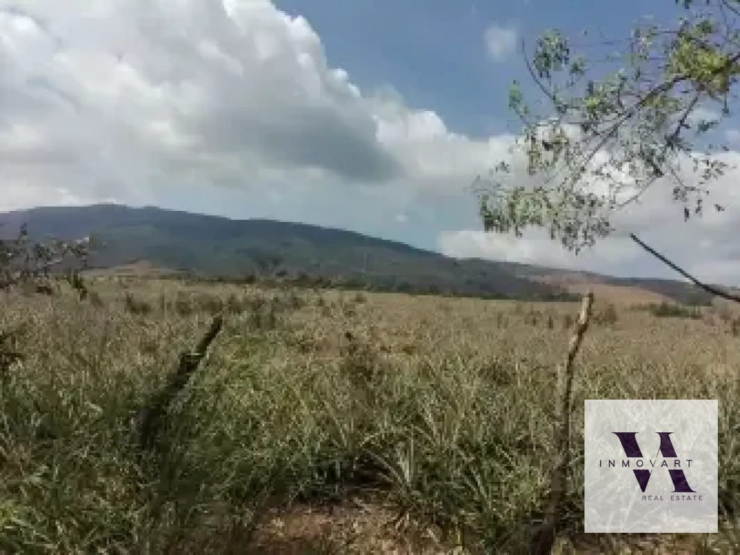 Terreno a la venta Jocotillo — Terreno en Venta en Villa Canales, Guatemala, Ciudad — foto 8 de 9