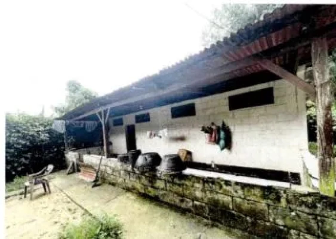 Finca Rústica en Venta Zapotitlán Camino al IRTRA — Finca en Venta en San Martín Zapotitlán, Retalhuleu — foto 3 de 9