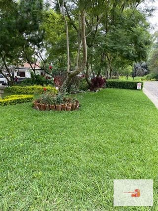 Casita en Antigua / amueblada — Casa en Alquiler en Antigua, Sacatepéquez — miniatura 12 de 16