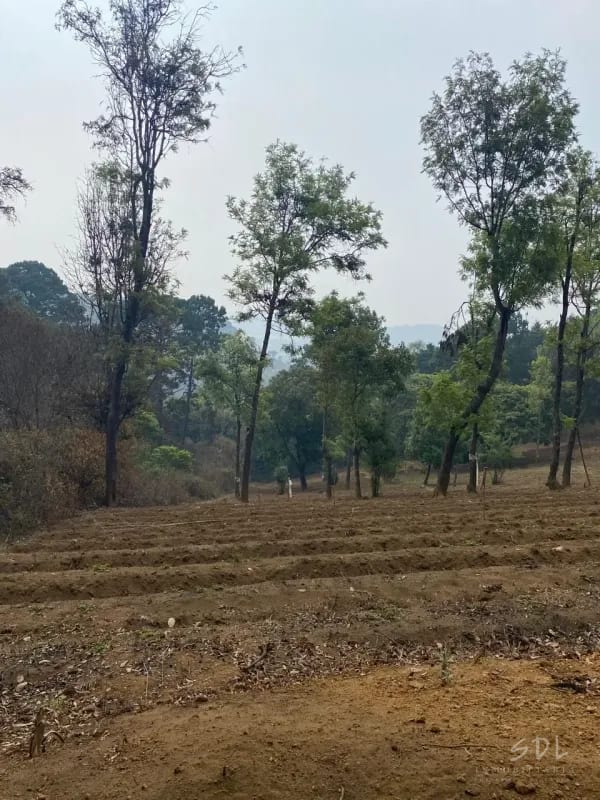 San Lucas, Sacatepequez — Terreno en Venta en Santa Lucía Milpas Altas, Sacatepéquez — foto 1 de 2