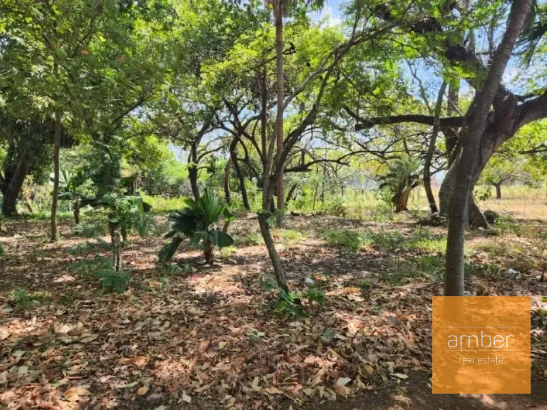Terreno en Escuintla — Terreno en Alquiler en Escuintla, Escuintla — foto 6 de 6