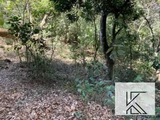Terreno en Las Brisas, Fraijanes — Terreno en Venta en Fraijanes, Carretera a El Salvador, Guatemala, Ciudad — miniatura 5 de 7