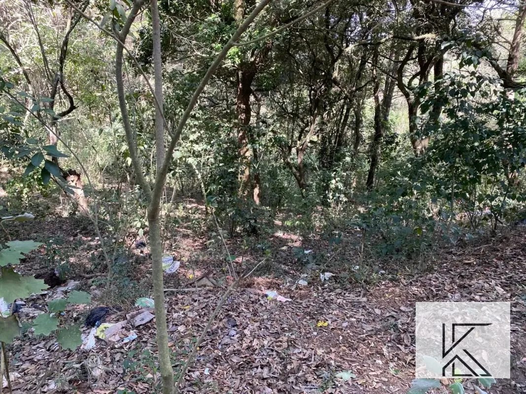 Terreno en Las Brisas, Fraijanes — Terreno en Venta en Fraijanes, Carretera a El Salvador, Guatemala, Ciudad — foto 4 de 7