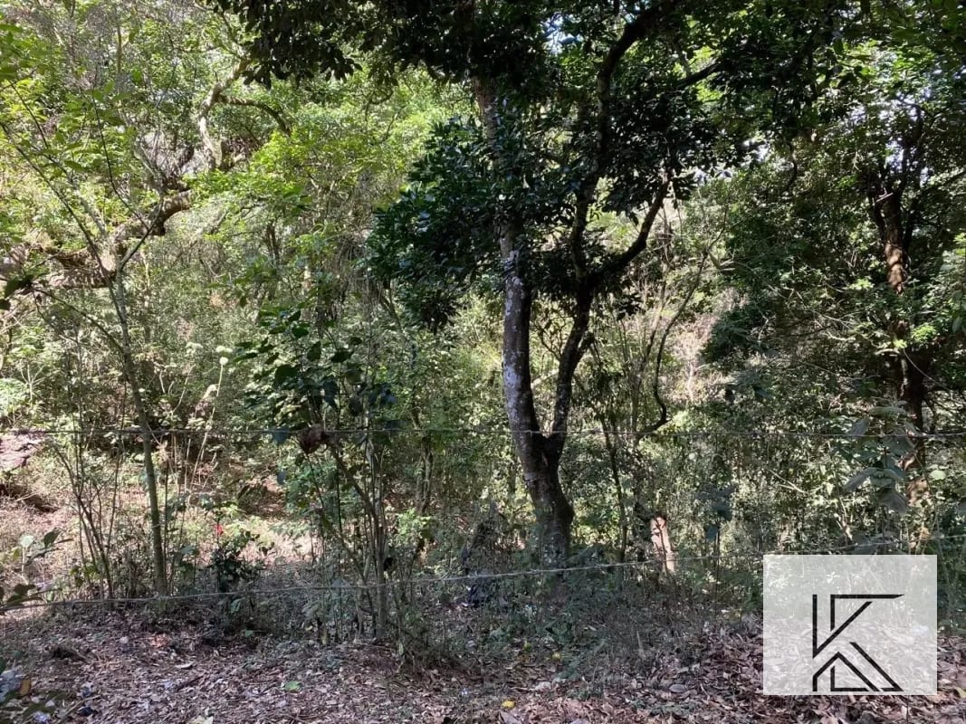 Terreno en Las Brisas, Fraijanes — Terreno en Venta en Fraijanes, Carretera a El Salvador, Guatemala, Ciudad — foto 3 de 7
